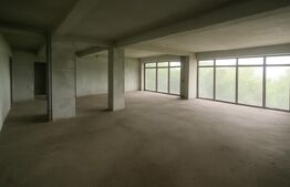 Spatiu comercial, 123 mp, zona Calea Baciului