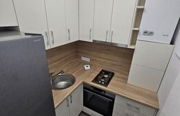 Garsonieră complet renovată, finisaje de calitate, 21 mp, zona Gheorgheni