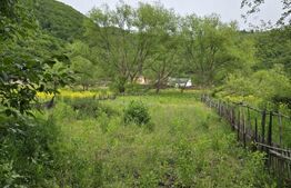 Teren intravilan Ciucea