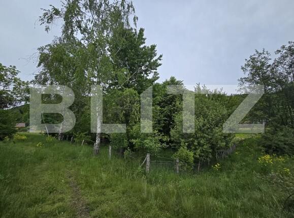 Teren de vânzare Ciucea - 170694TV | BLITZ Cluj-Napoca | Poza2