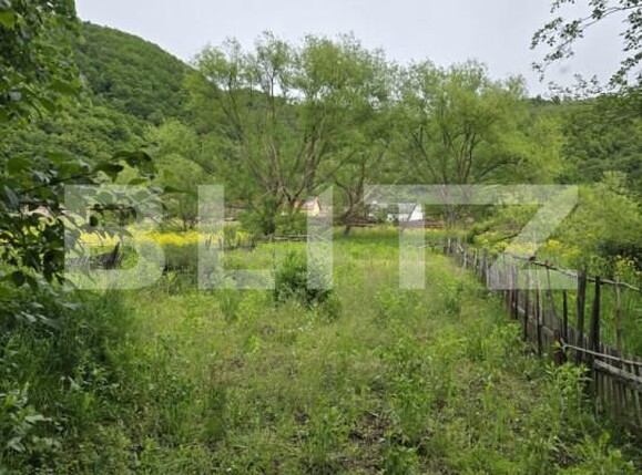 Teren de vânzare Ciucea - 170694TV | BLITZ Cluj-Napoca | Poza1