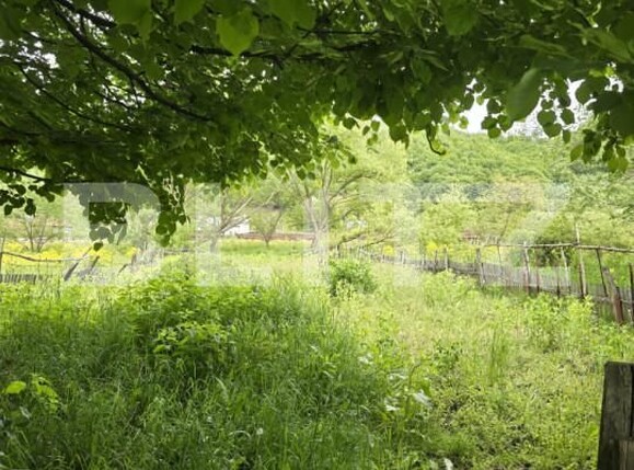 Teren de vânzare Ciucea - 170694TV | BLITZ Cluj-Napoca | Poza3