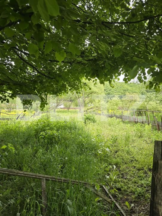 Teren de vânzare Ciucea - 170694TV | BLITZ Cluj-Napoca | Poza3