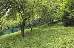 Casa renovabila din lemn, teren 830 mp