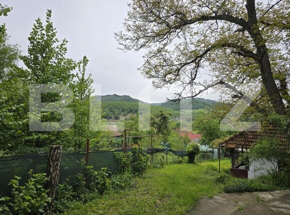 Casa de vânzare 2 camere Ciucea - 170697CV | BLITZ Cluj-Napoca | Poza9