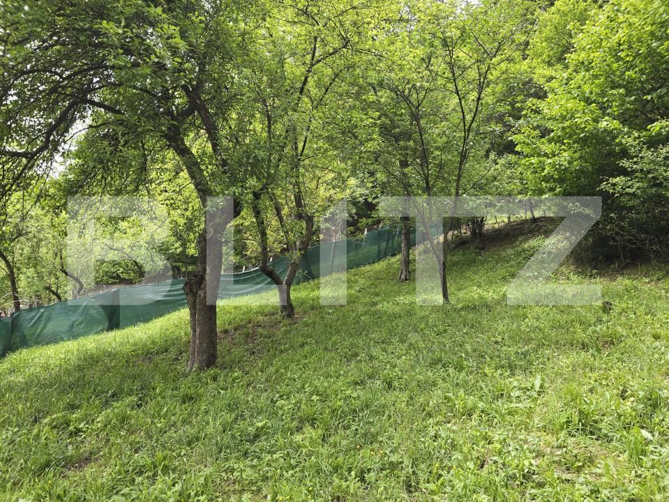 Casa de vânzare 2 camere Ciucea - 170697CV | BLITZ Cluj-Napoca | Poza4