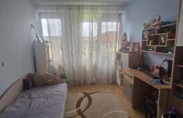 Apartament 2 camere decomandate, Zona Porii, Multiserv