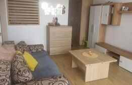 Apartament 2 camere decomandate, Zona Porii, Multiserv