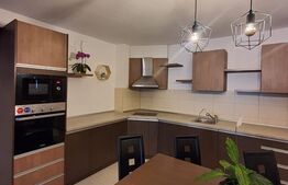 Apartament modern, 3 camere, 117 mp, ultraspatios in zona Cluj Arena, Platinia