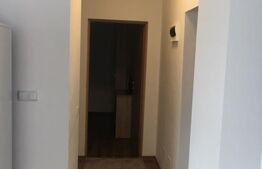 Apartament cu chiriasi, investitie, 2 camere, 69 mp, zona Maramuresului