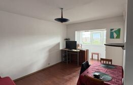 Garsoniera, 30 mp, mobilat/utilat, zona strazii Portile de Fier