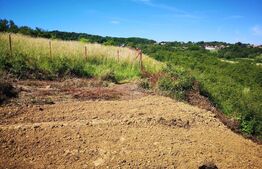 Teren intravilan, 2.200 mp cu PUD, autorizație și utilități Chinteni, Deusu !