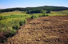 Teren intravilan, 2.200 mp cu PUD, autorizație și utilități Chinteni, Deusu !