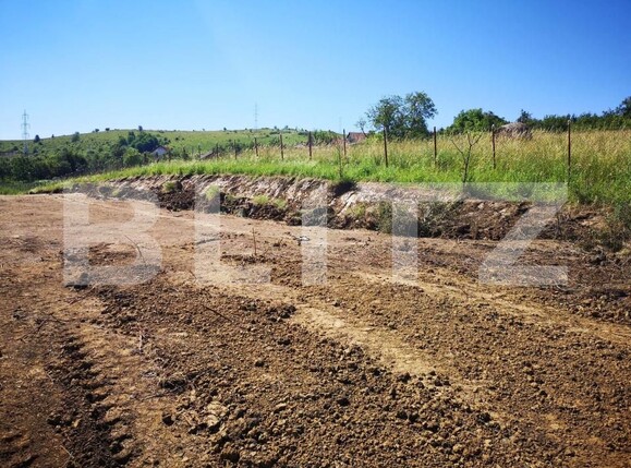 Teren de vânzare Chinteni - 170829TV | BLITZ Cluj-Napoca | Poza6