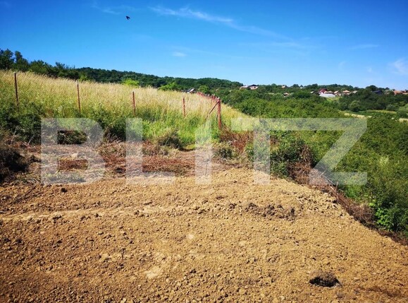 Teren de vânzare Chinteni - 170829TV | BLITZ Cluj-Napoca | Poza7