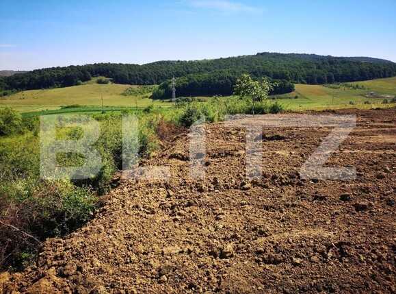 Teren de vânzare Chinteni - 170829TV | BLITZ Cluj-Napoca | Poza4