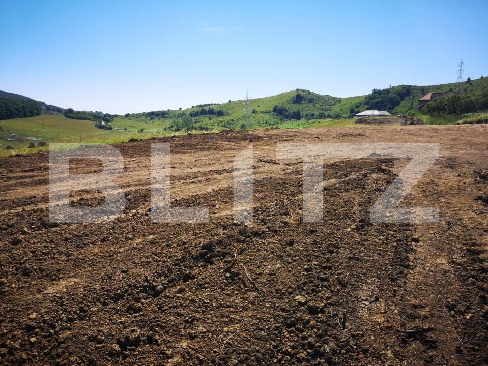 Teren de vânzare Chinteni - 170829TV | BLITZ Cluj-Napoca | Poza3