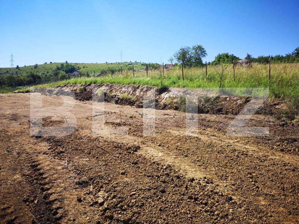 Teren de vânzare Chinteni - 170829TV | BLITZ Cluj-Napoca | Poza6