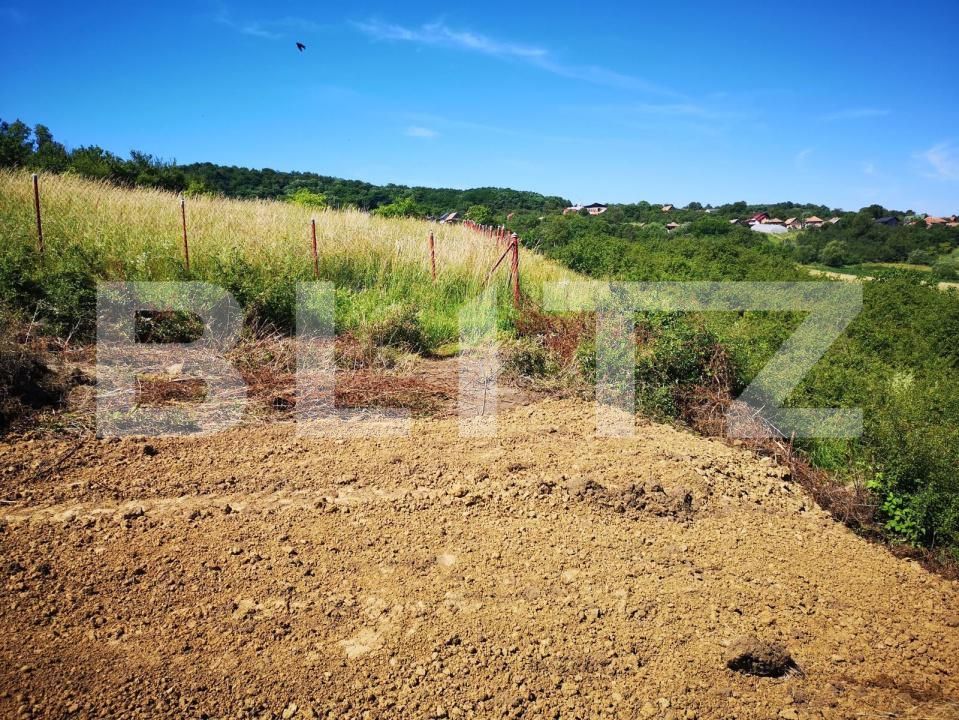 Teren de vânzare Chinteni - 170829TV | BLITZ Cluj-Napoca | Poza7