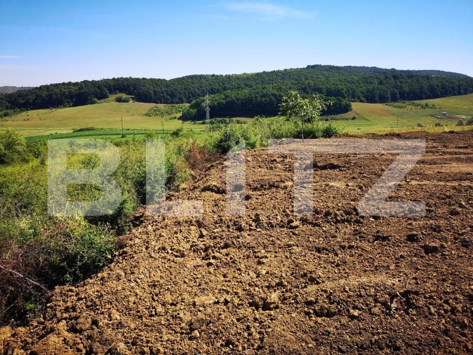 Teren de vânzare Chinteni - 170829TV | BLITZ Cluj-Napoca | Poza4