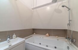 Apartament 1camera,  45mp,  centru, Piata Unirii