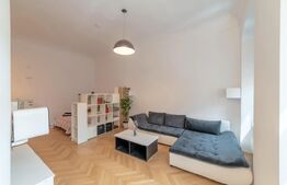 Apartament 1camera,  45mp,  centru, Piata Unirii