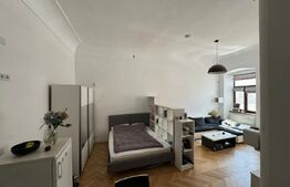 Apartament 1camera,  45mp,  centru, Piata Unirii