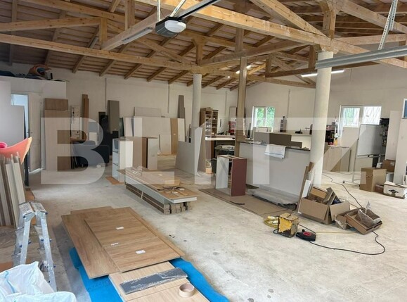 Spațiu industrial de închiriat Manastur - 170878SII | BLITZ Cluj-Napoca | Poza2