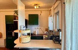 Apartament de vanzare, cu 1 camera, 35 mp, zona Marasti 