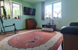 Apartament de vanzare, 2 camere, 52 mp, eficient compartimentat, zona Tractorul