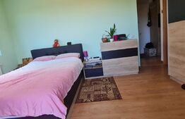 Apartament de vanzare, 2 camere, 52 mp, eficient compartimentat, zona Tractorul