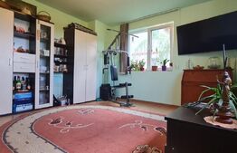 Apartament de vanzare, 2 camere, 52 mp, eficient compartimentat, zona Tractorul