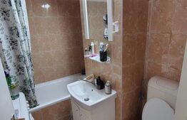 Apartament 1 camera, 28 mp, zona Louis Pasteur