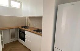 Garsoniera moderna, de inchiriat, 30 mp, zona Izlazului