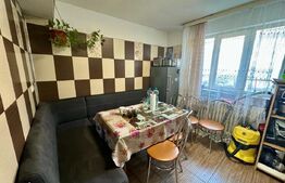 Oportunitate!Casă, 6 camere de vânzare, COMUNA LIVADA, 984 mp teren, priveliște!