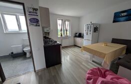 Apartament de vanzare, cu 1 camera, 30mp, zona  Dambul Rotund 