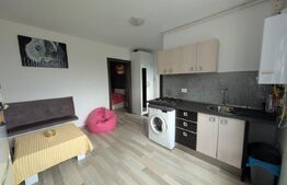 Apartament de vanzare, cu 1 camera, 30mp, zona  Dambul Rotund 