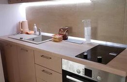 Apartament de inchiriat, cu 1 camera, 35 mp, zona Iulius Mall