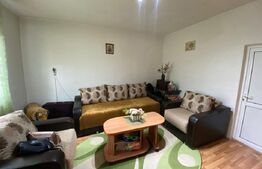 Casa individuala, de vanzare, cu 3 camere, 65 mp, zona Autogarii Beta