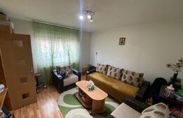 Casa individuala, de vanzare, cu 3 camere, 65 mp, zona Autogarii Beta