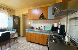 Casa individuala, de vanzare, cu 3 camere, 65 mp, zona Autogarii Beta