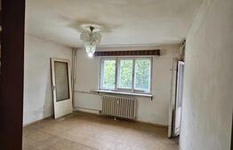 Apartament de vanzare, cu 2 camere, 42 mp, zona Big 