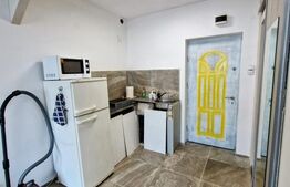 Grsonieră, de vanzare, 24 mp, zona Manastur  