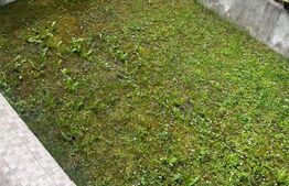 Casa de inchiriat, cu 5 camere, 105 mp, zona Buna Ziua