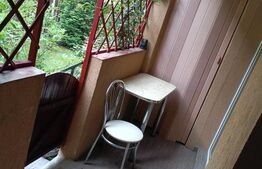 Apartament o cameră 