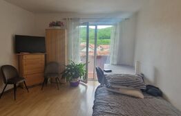 Apartament O camera decomandata