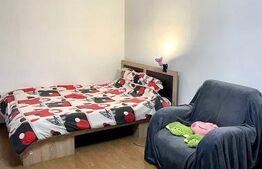 Apartament 1 camera, mobilat modern, 40mp, balcon,  zona strazii Calea Floresti