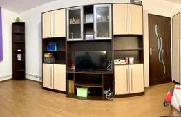 Apartament 1 camera, mobilat modern, 40mp, balcon,  zona strazii Calea Floresti