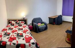 Apartament 1 camera, mobilat modern, 40mp, balcon,  zona strazii Calea Floresti