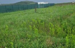 Teren pentru casa intravilan , 800 mp deschidere la drum Bod